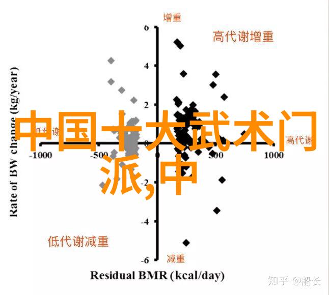 咏春拳法练习手册入门指南与训练方法