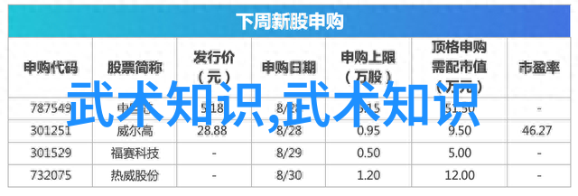 星际联盟穿越时空的旅者