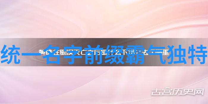 轻松学习古法四十式太极拳视频及口令详解