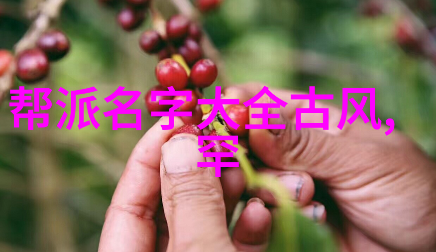 编织传奇创意帮派名字的奇幻汇集