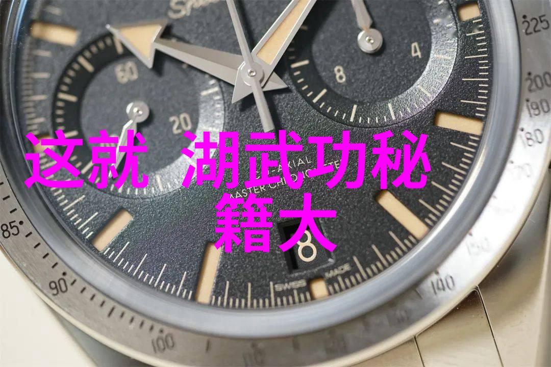 诗韵门派孔门拳之风