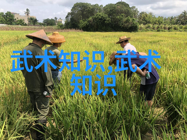 九千卷神秘图谱揭秘修真界的至高之术