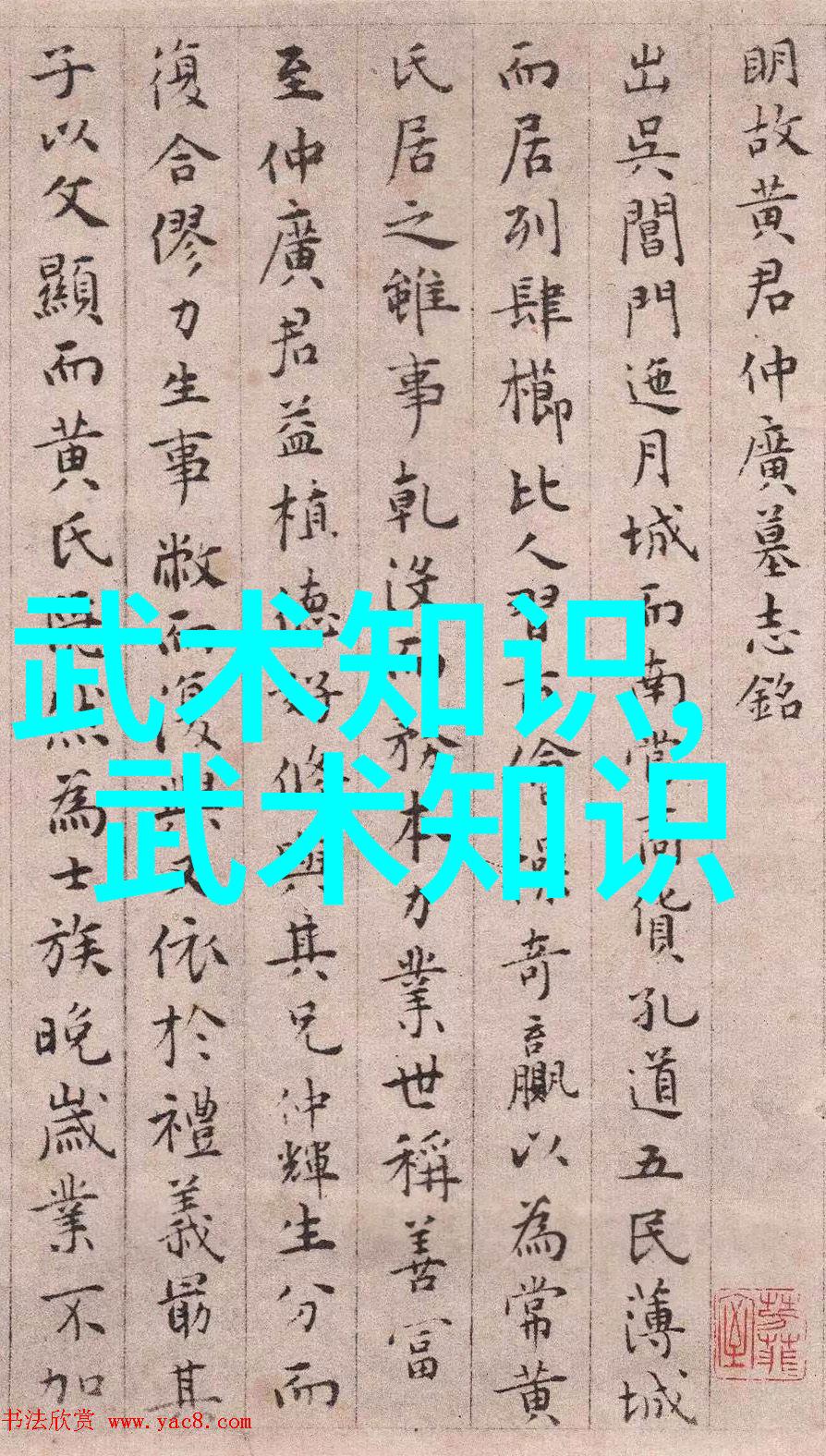 认知和掌握各招的意境与表现力  详解某些关键招数在实践中的运用