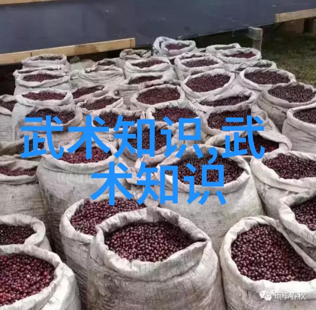 揭秘中国武术巅峰十大风范之冠