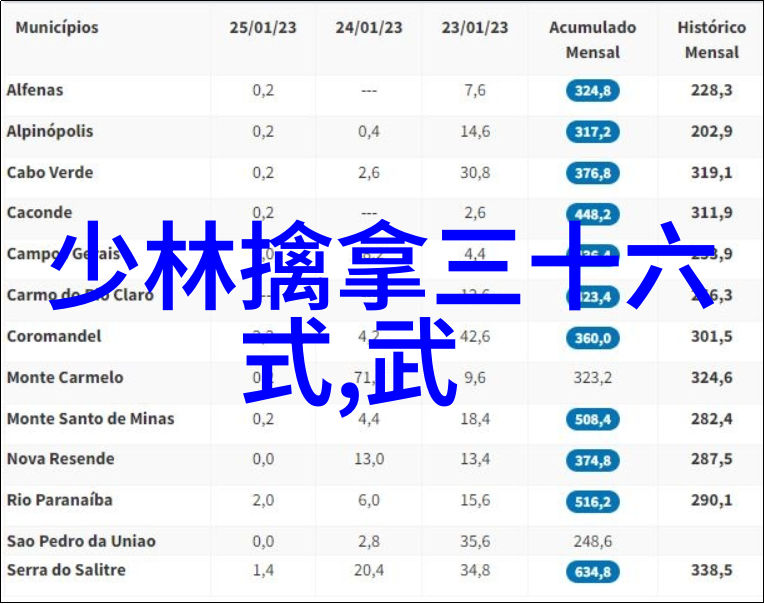 世界上最狠的拳法偏沉则随道法自然张志明