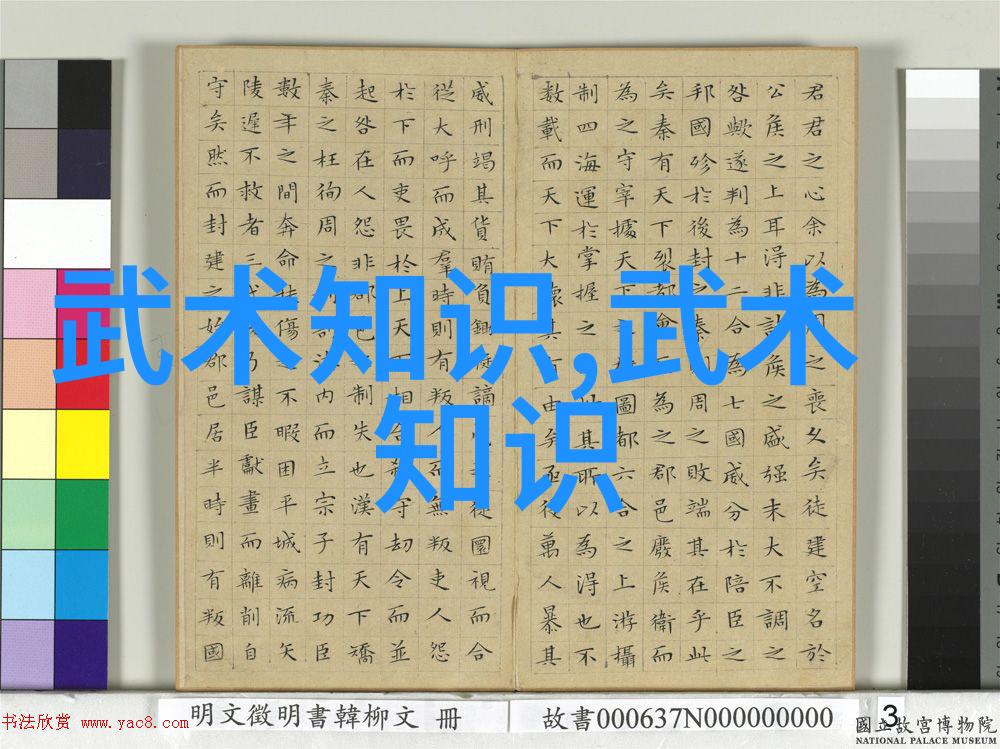 宝贝乖张腿我就可以吃扇贝了视频我的扇贝盛宴如何轻松拿到美味的扇贝