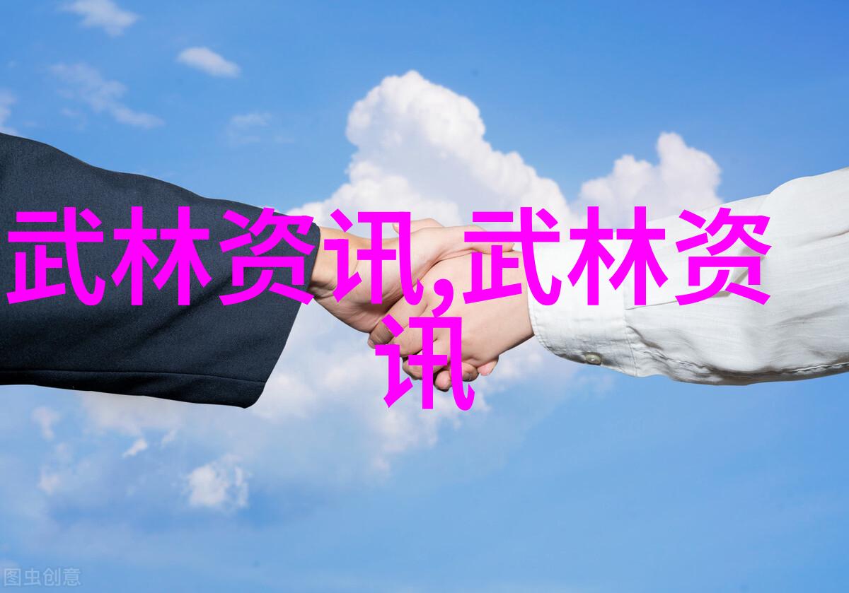 武术禁令网站探索禁止武术的法律与文化背景