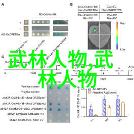 古代最强武功-天罡神功揭秘古代武林绝学