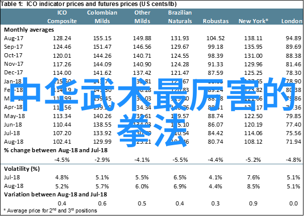 揭秘太极拳24式一位隐世大师的遗失图解