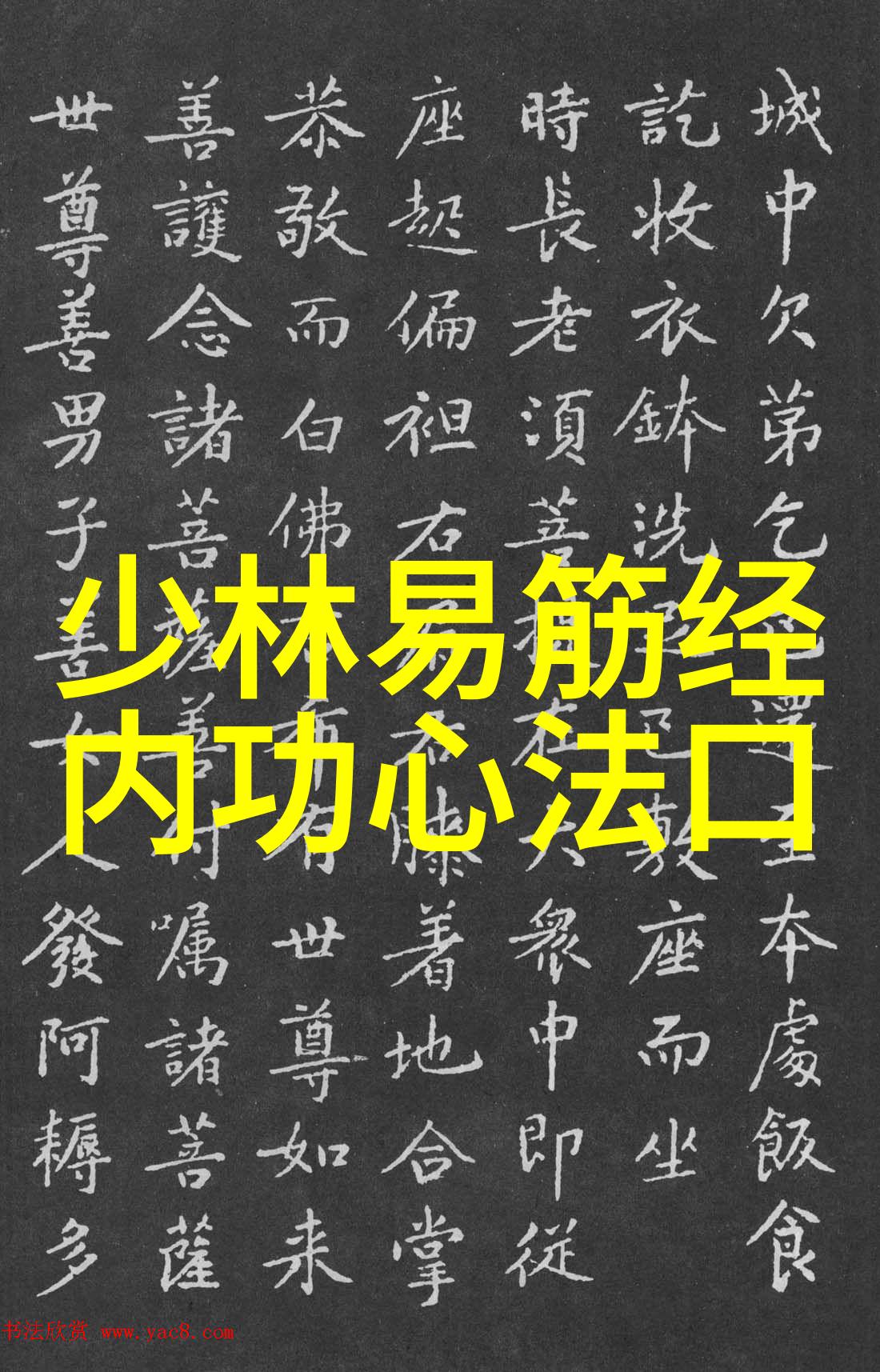 哪些中国拳法更注重柔韧性和协调性而不是力量