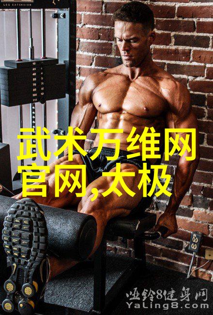 老武术书籍中的八法拳24式解密重现古代武者的精华技巧