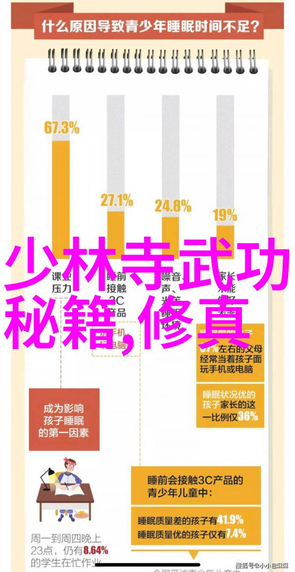 全球十大帮派中的少林洪门武功精妙绝伦如同天地之大道深邃而不失温柔