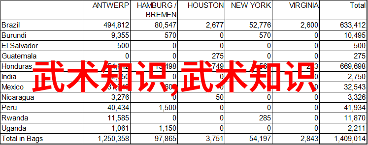 武术万维网官网探索传统与现代的交汇之地