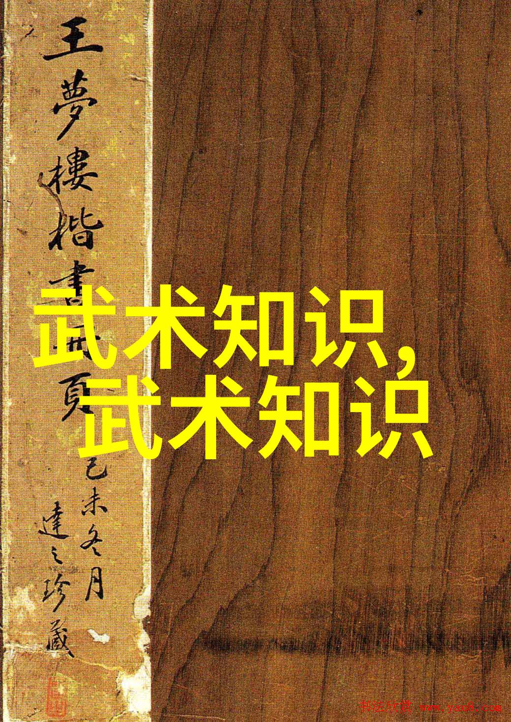 最近几年内武林界有哪些新兴技能和秘籍被发现