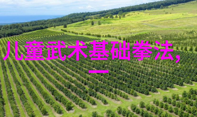 锻炼打架能力的14种方法提升自我防御技巧