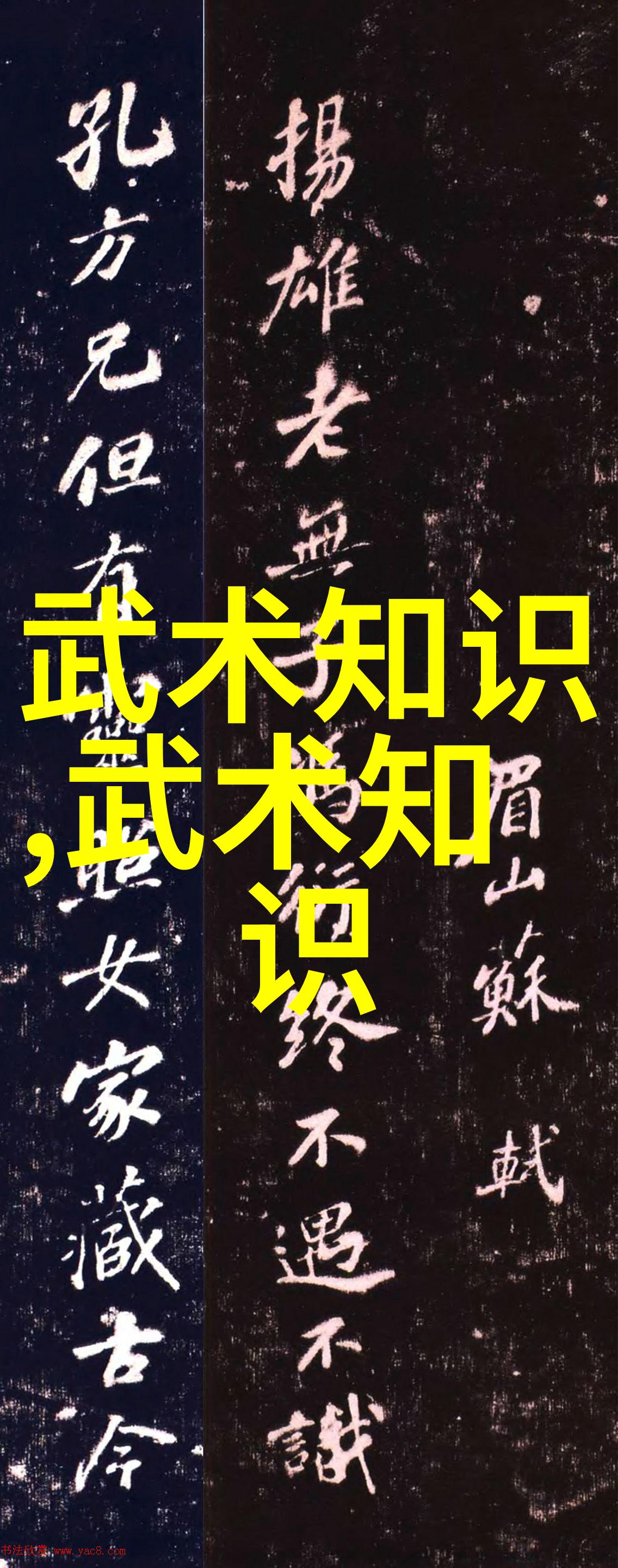 武功秘籍大全招式拳法图片我手中的武林秘籍一本藏着绝世拳法的神奇书