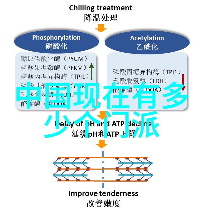 武林十大门派之争历史的足迹与传说