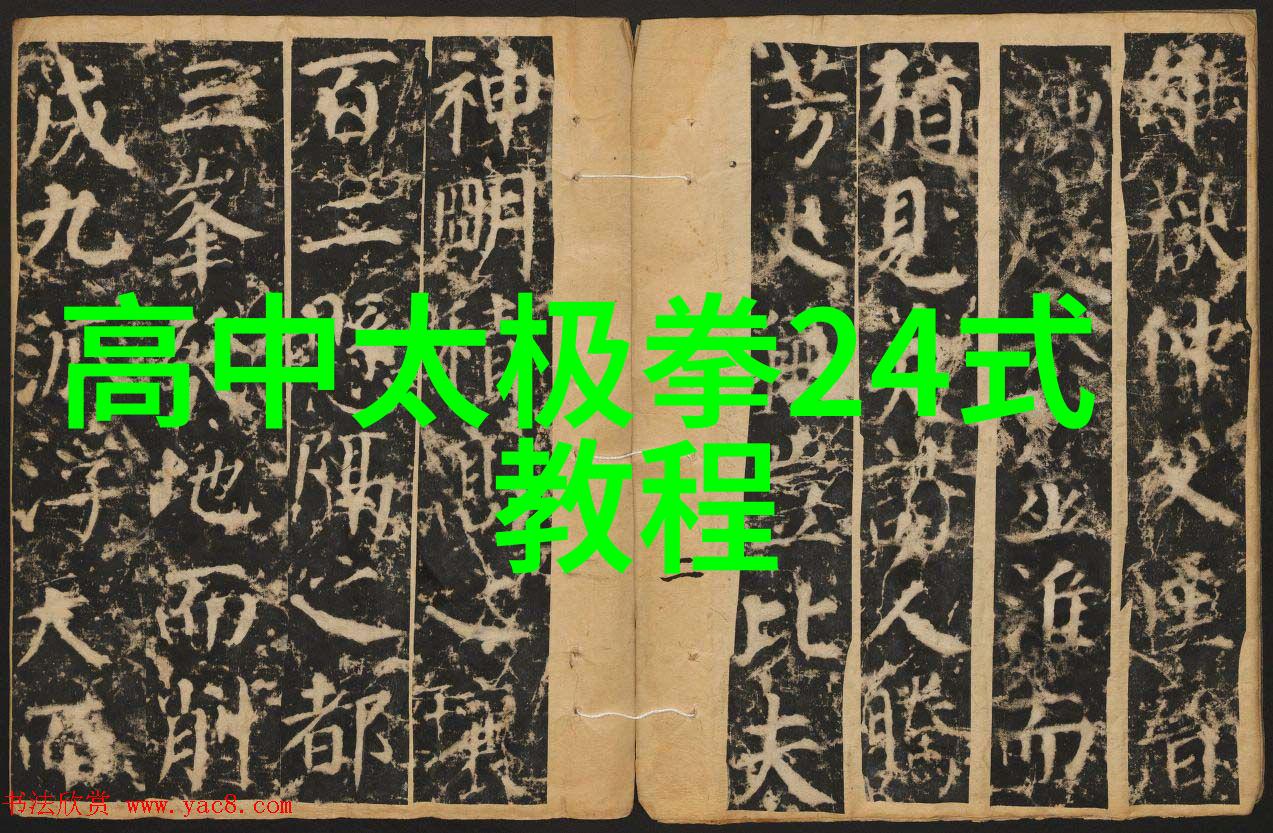 掌握太极大法深入浅出太极拳24式图解