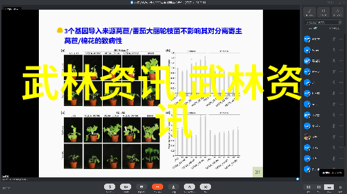 八三年武术事件古老功夫的秘密争夺战