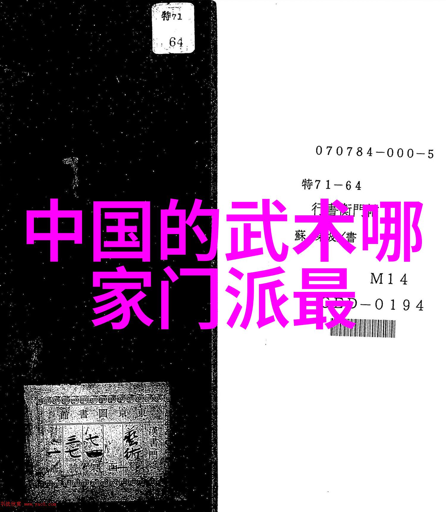 太极拳24式每一式图解视频 - 掌握传统太极之精髓动静结合的艺术实践