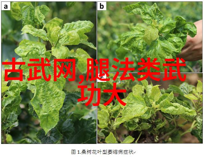 如何在朋友圈中高质量发帖像参与高校专项计划一样精准高端