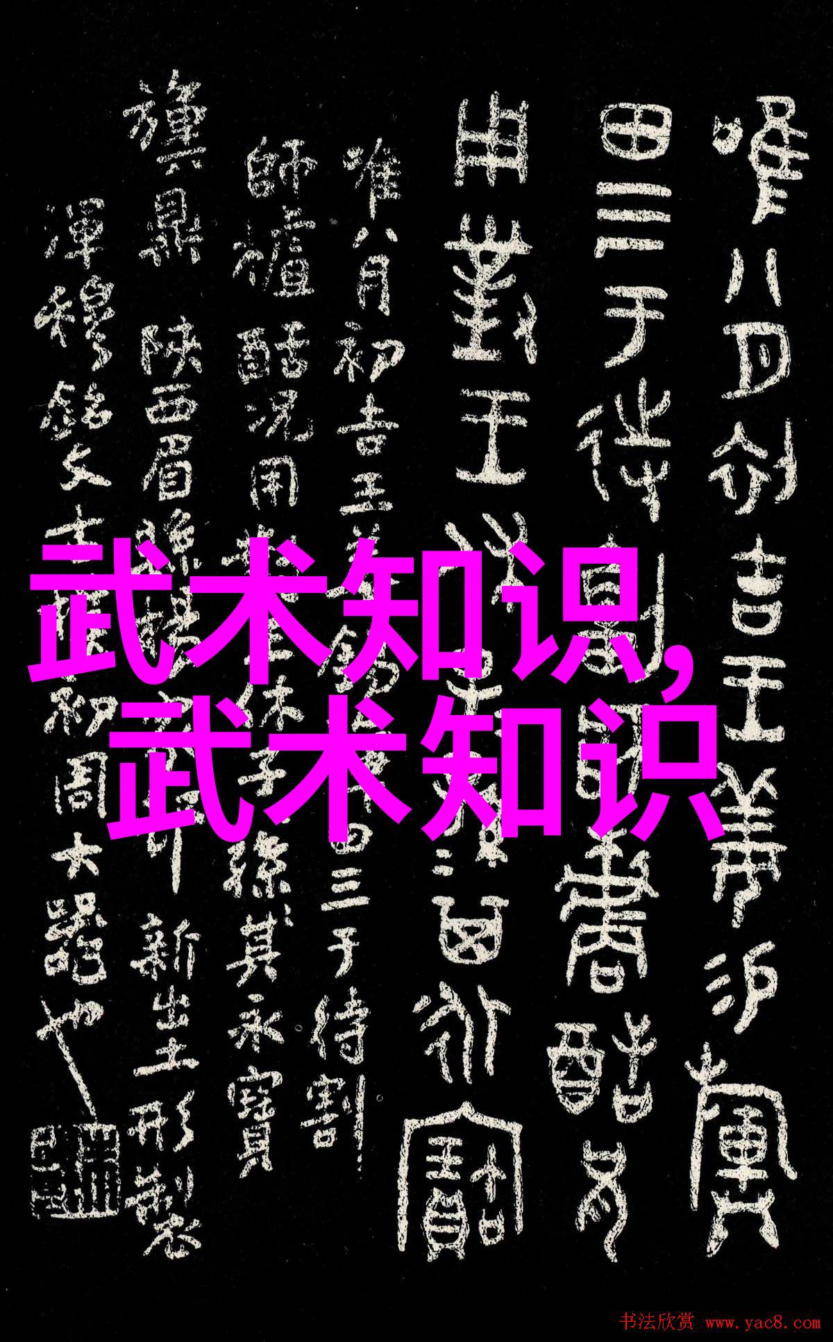 霸气军团新秀热血青春的军事训练