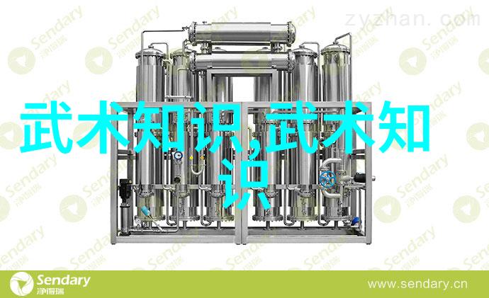 掌握初阶入门拳法指南与实战技巧