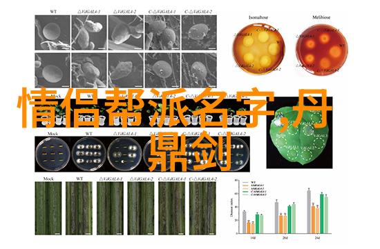 足够的水视频内容到达高质量标准了好多丰富多彩的视觉体验