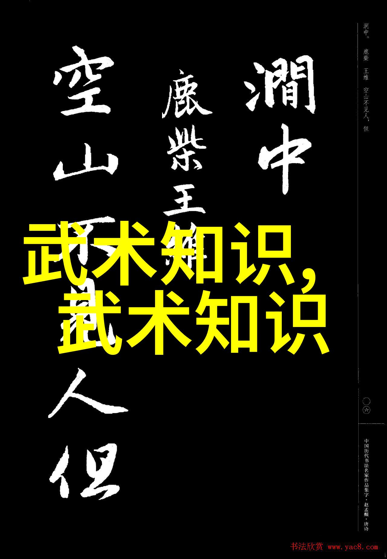 四川还有没有什么独特的拳击或棍法技巧呢