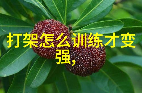 皇帝赐游边塞玉器探秘古代皇家玉器与边塞文化的奇妙见证