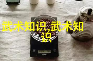 形意拳最怕哪种拳揭秘内家外派对决的奥秘