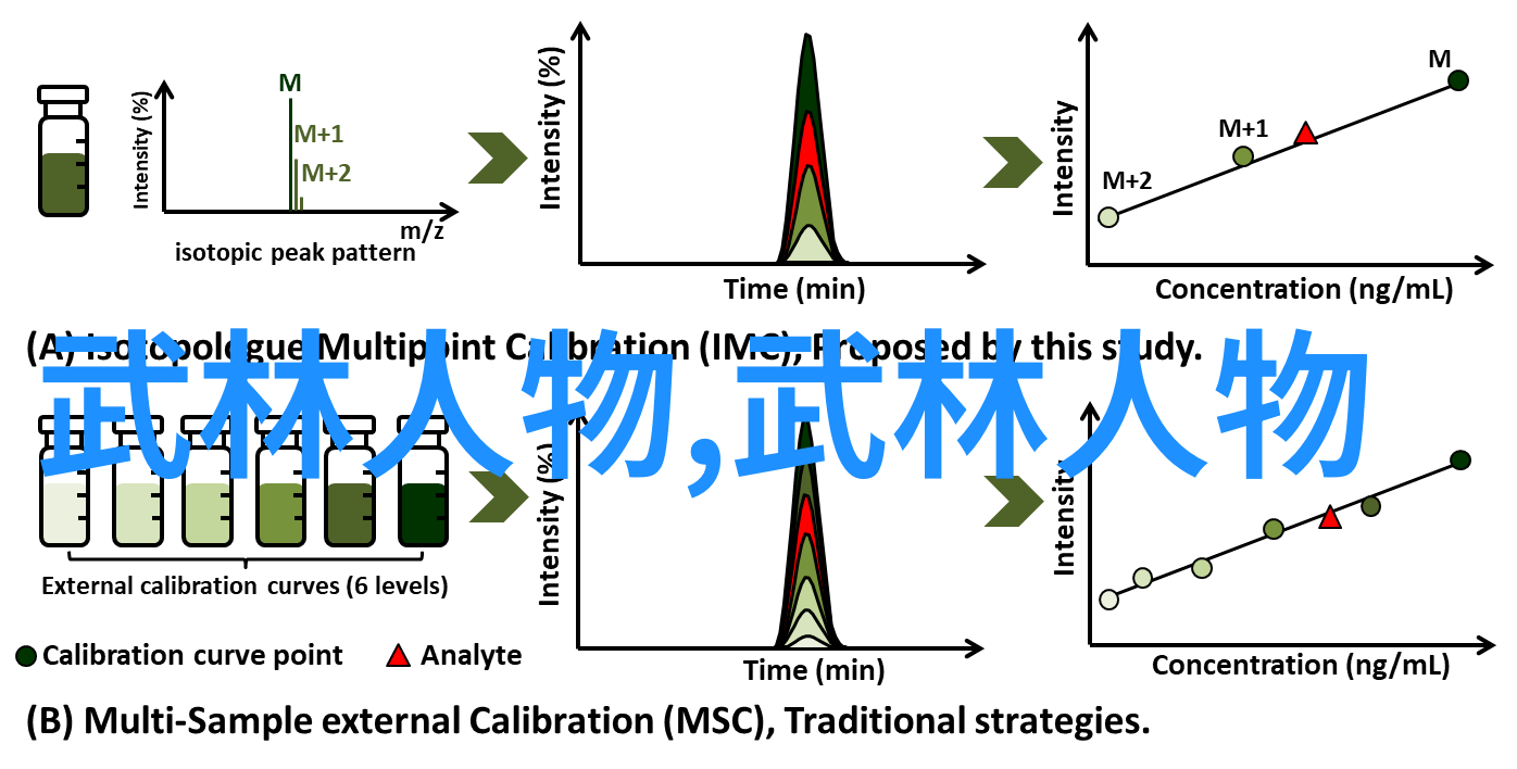 八三年武术事件剑锋闪烁的传奇