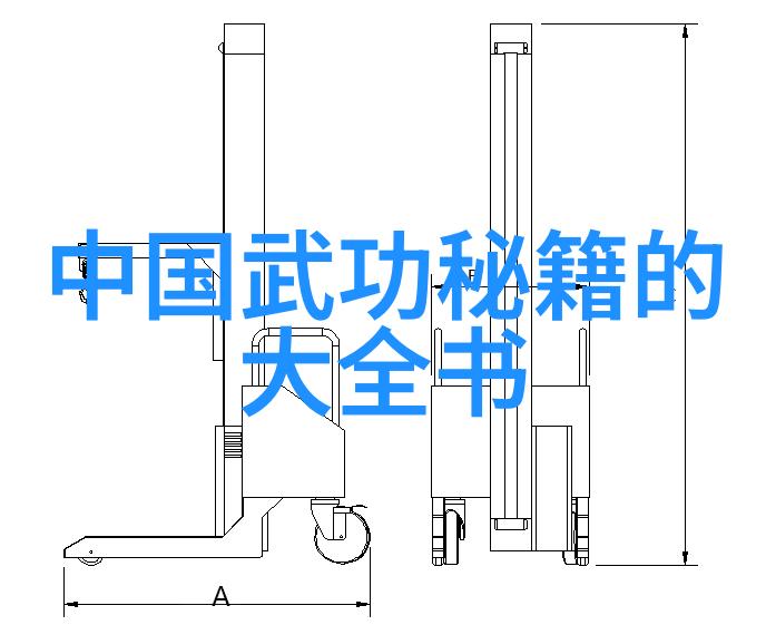 中国武功秘籍的大全书揭秘传统武术的精髓