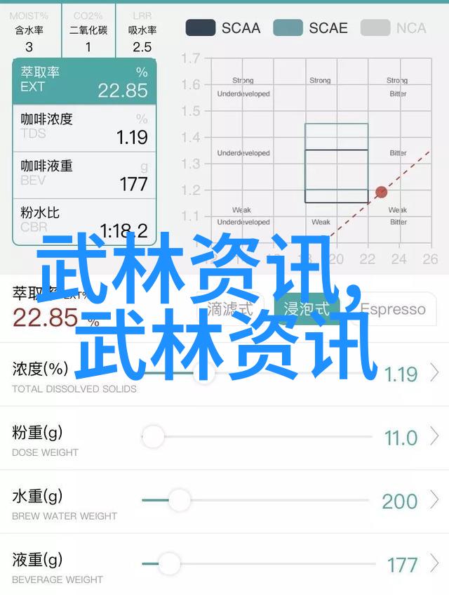 武林争锋哪门武术最厉害的秘密解析