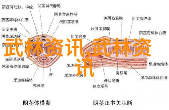 太极拳真功三秘