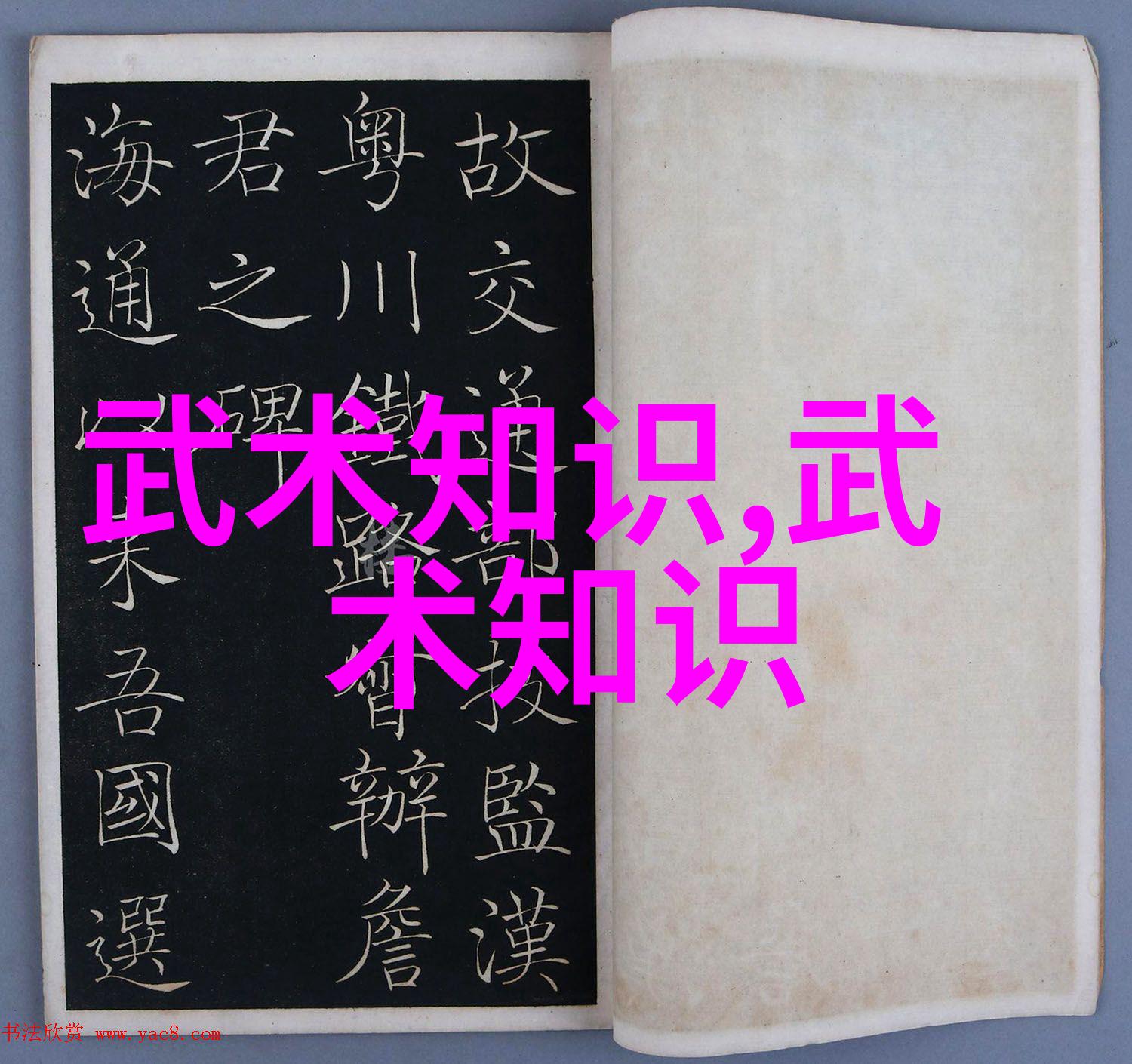 古老武林的现代变革中国武术门派的奇迹与挑战