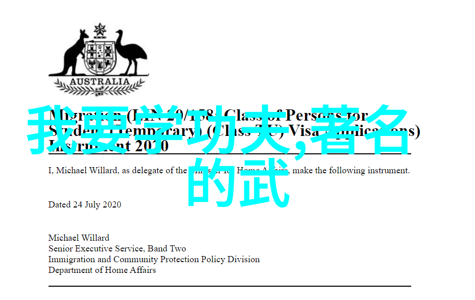 春风拂面咏春拳技击法轻盈而优雅截拳道如同森林中的猎手沉着而果敢入门这门武学不仅要学会招式更要将心比心