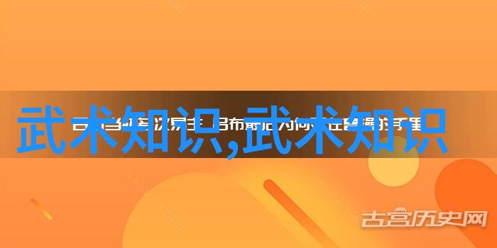 武学自我修炼从基础功法到内家外派的探索之旅