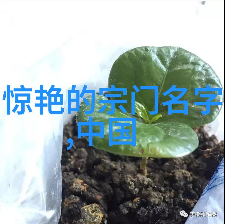 武林门派辨析揭秘江湖千年传承