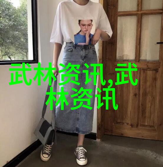 武术的秘密十二重身影舞动