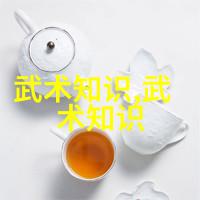 螳螂拳三手之父八三年武术事件中的松活劲仿佛有生命力在空中舞动诉说着一段段历史的故事