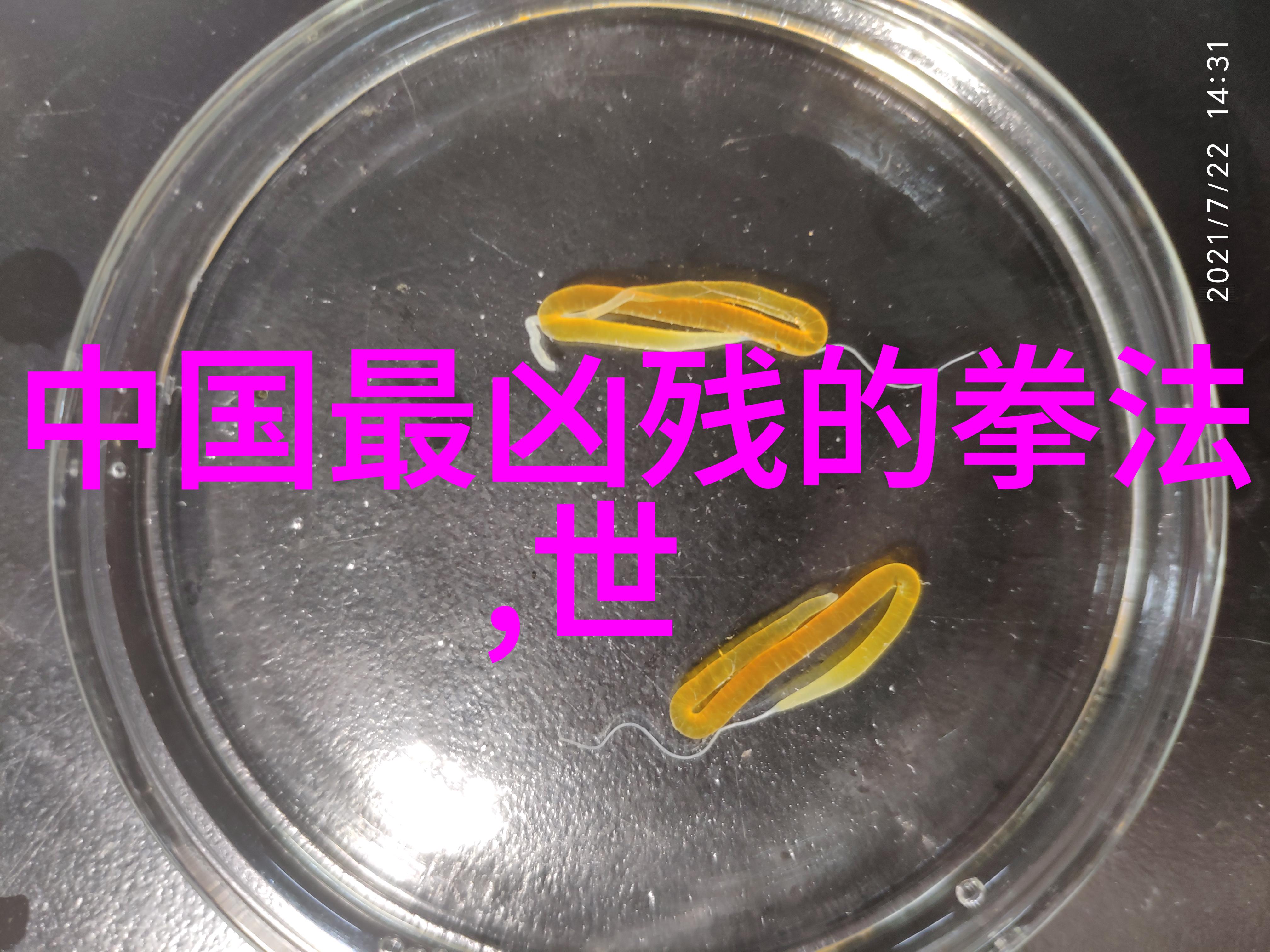 古风联盟门派拳种古风诗意的武林盟主