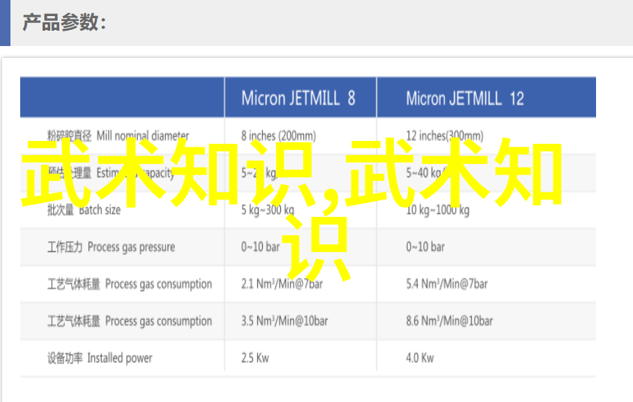 中国十大剑法中的五祖拳技击法反复演练其精髓