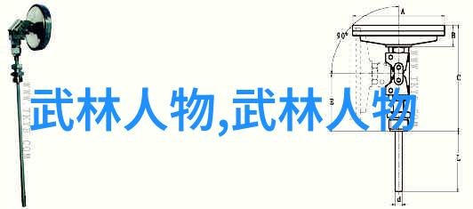 拳法演变史从架空到实际应用中国30大门派的变化轨迹