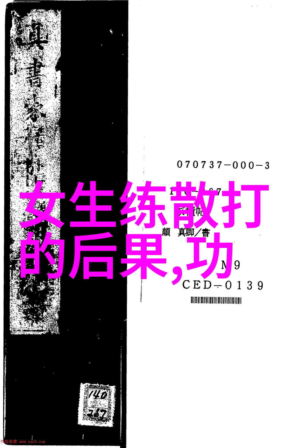 春风不度十大真实武功秘籍自有其独到之处截拳道犹如一位精通武艺的老者静坐山林中流传千年的技击法则如同古