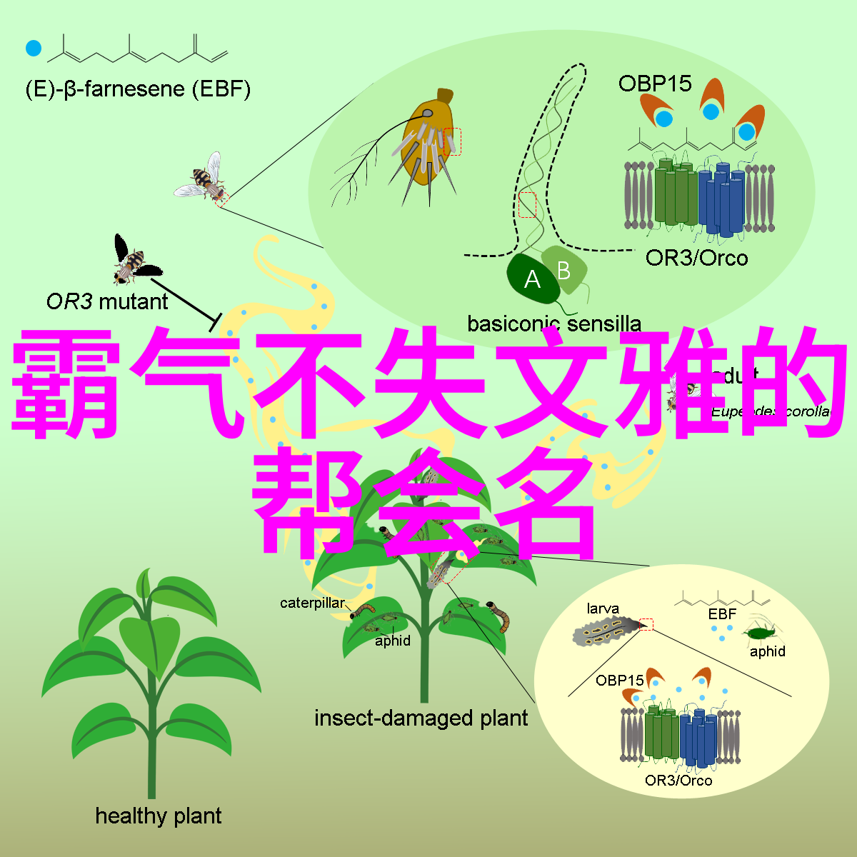 公交车上的数学奇迹从初到高的奋斗史