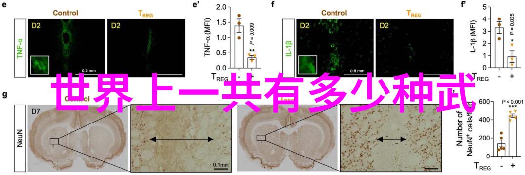 碧波涌动之绝技排行金庸神功的幻影序列