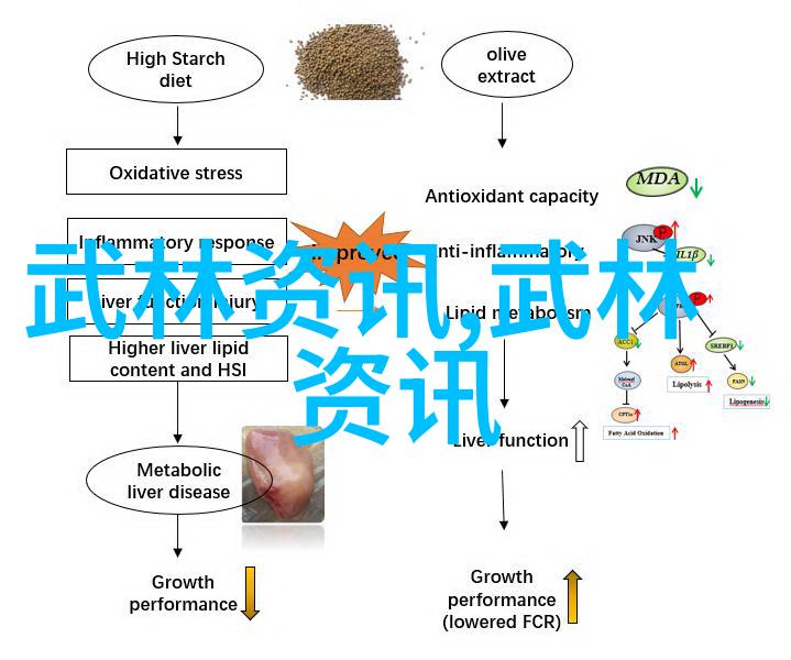 刀锋与琴弦屠龙记中的二十一门派