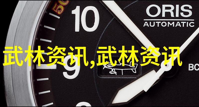 武林秘籍揭秘中国三十门派的传统与技艺