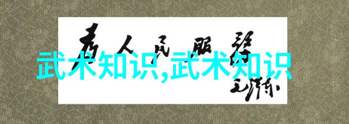 中国武术门派大全中国传统武术门派分类详解